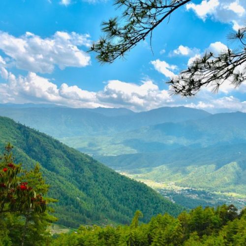 DAGALA TREK
